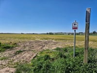 Rue du Rossignol / Plugstreet 1 von Messines