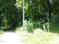 Rue du Roua von Visé