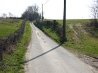 Rue Great