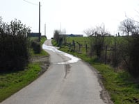 Rue Great