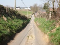 Rue Great