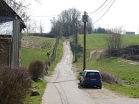 Rue Great