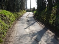 Rue Great
