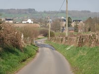 Rue Great