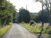 Rue Hûta von Croix Papet