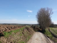 Rue Joseph Duchâteau