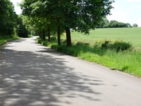 Rue Ma Campagne von Dison Corbeau