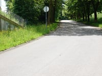 Rue Ma Campagne von Dison Corbeau
