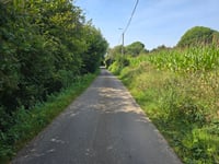 Rue Pierpont von Lize