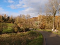 Côte Rue Rond Bonnier vanuit Oteppe