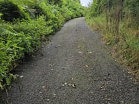 Rue Téwée / Mur des Fagnes