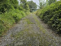 Rue Téwée / Mur des Fagnes
