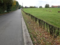 Rue Vreuschemen von Membach