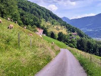 Rufiberg depuis Arth