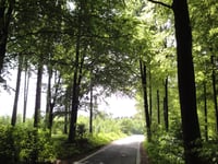 Rugweg via Vijlen