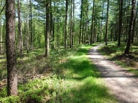Ruiterberg über Let de Stigterpad