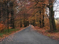 Ruiterberg from Maarsbergen