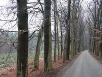 Ruiterberg from Maarsbergen