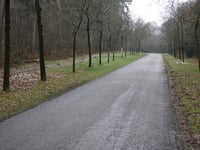 Ruiterberg von Doorn