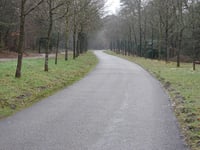 Ruiterberg von Doorn