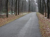 Ruiterberg von Doorn