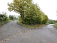 Runschen