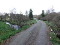Rurbusch von Am Grünen Kloster