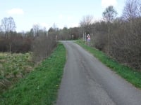 Rurbusch von Am Grünen Kloster