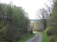 Rurbusch von Am Grünen Kloster