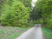 Rurbusch von Am Grünen Kloster