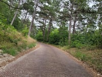 Russenduin / Huize Glory from Bergen aan Zee