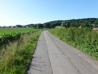 Rütsch über Rütscher Strasse