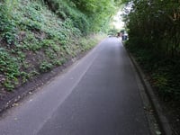 Rütsch über Rütscher Strasse