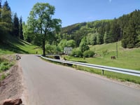 Rybnica Leśna über Bolesława Chrobrego