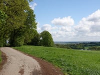 Rymelsberg via Schafenberg
