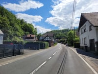 Rys de Mosbeux