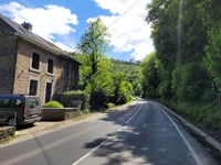 Rys de Mosbeux