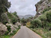 S'Empeltada da Cala Deià