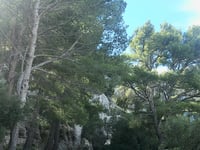 Sa Calobra / Coll dels Reis