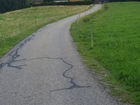 Säbelthoma von Hinterzarten