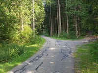 Säbelthoma von Hinterzarten