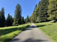 Saint-Brais depuis Etang de Bollement