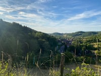 Saint Maur da Macornay via Moiron