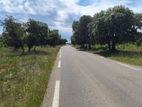 Saint-Maximin por Chemin Neuf