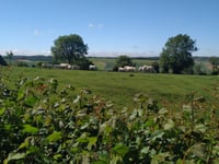 Saint Pierre von Affringues