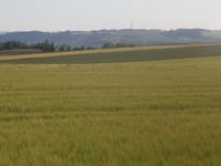 Saint Wandrille von Etreuille