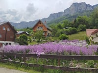 Sainte Marie du Mont depuis La Flachère