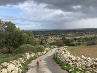 Salib ta' l-Għolja vanuit Triq Blat il-Qamar