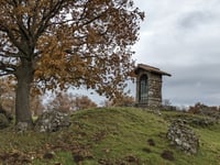 Salita del Tuscolo von Frascati