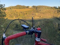 Salita di Coltibuono von Molinlungo